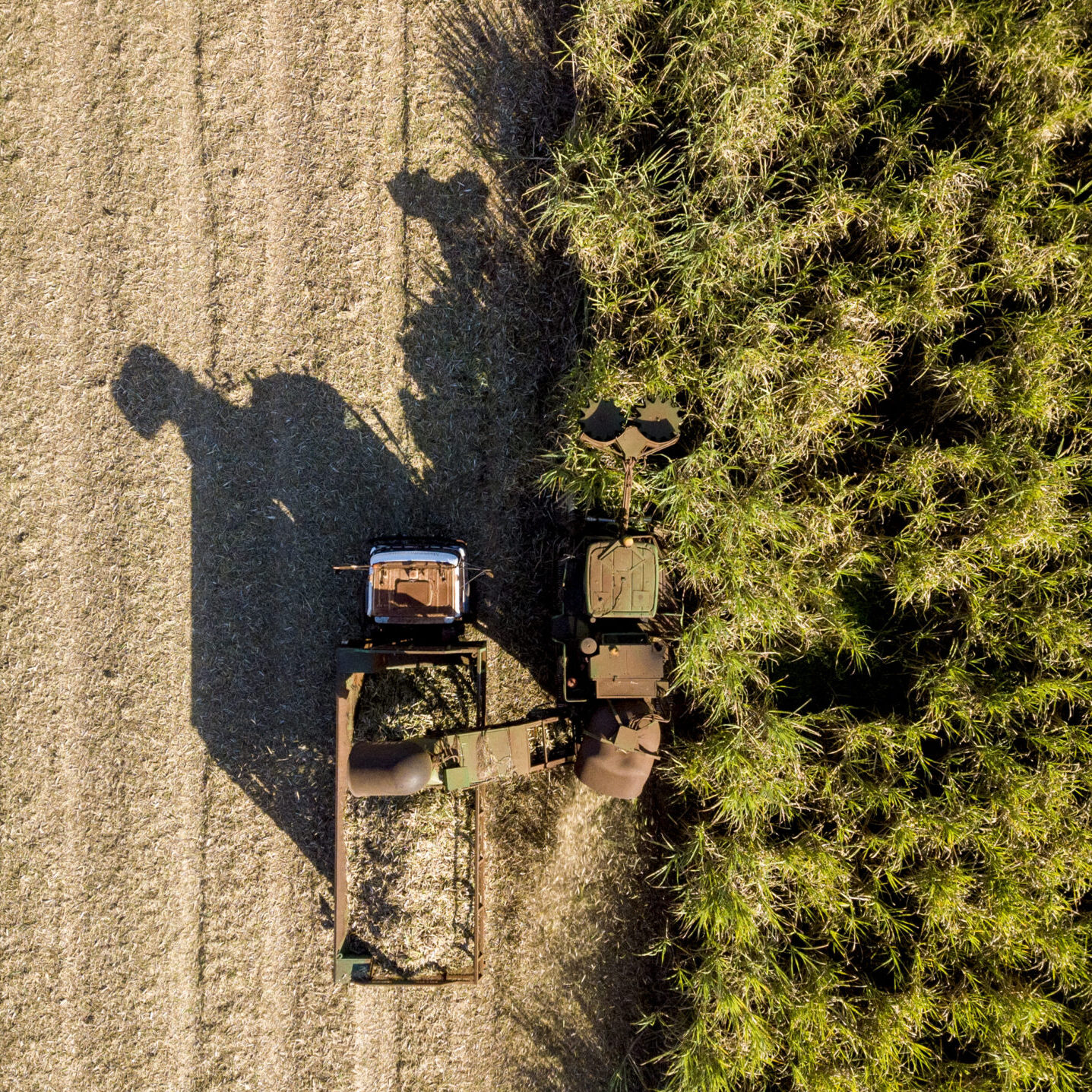 Harvesting