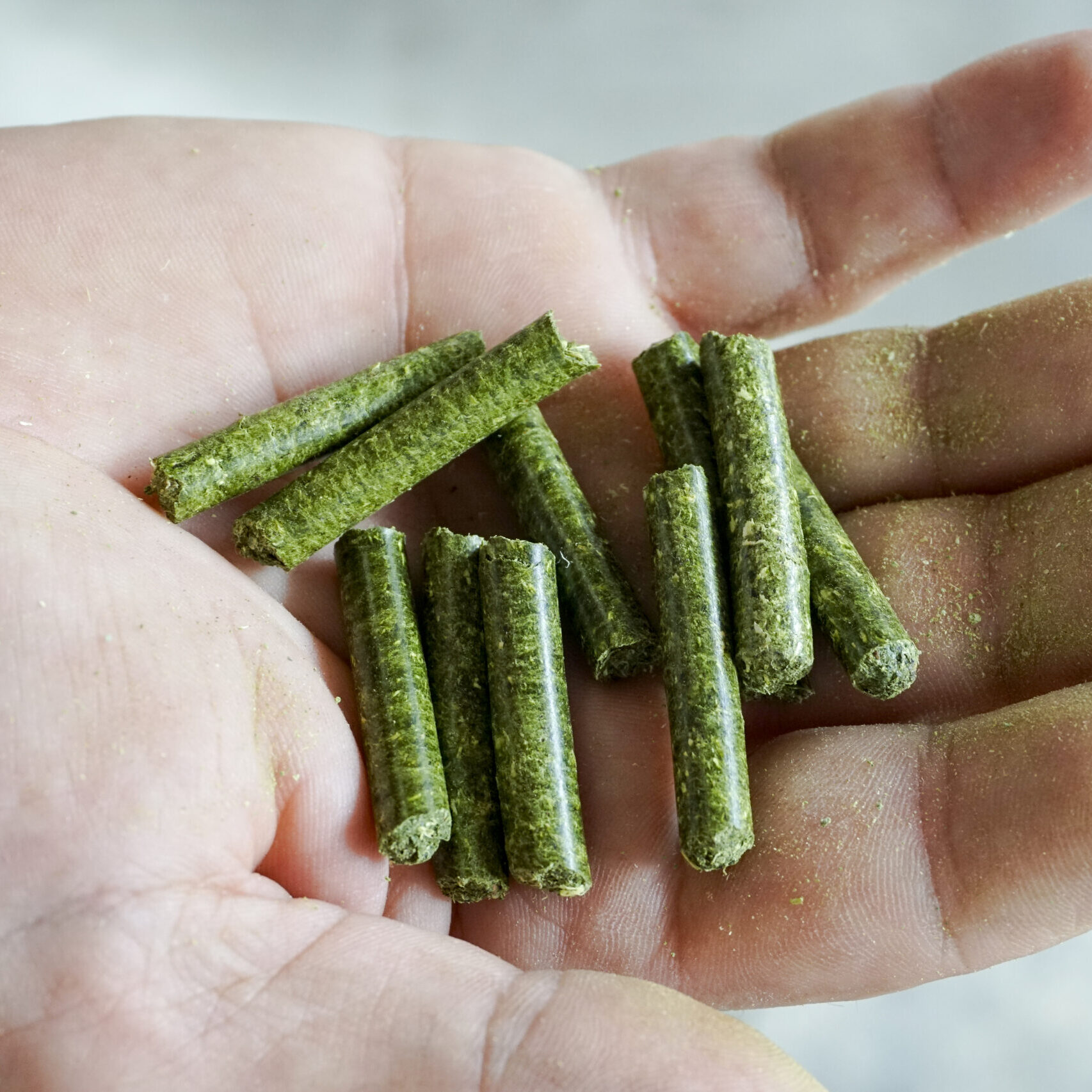 Food Pellets